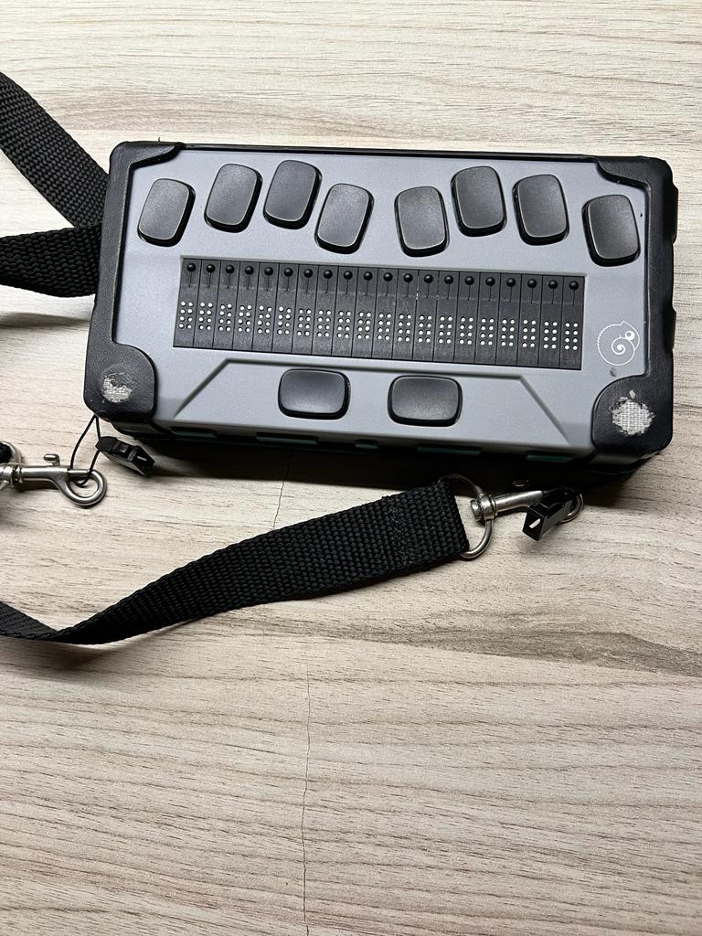 Foto del Chameleon 20.